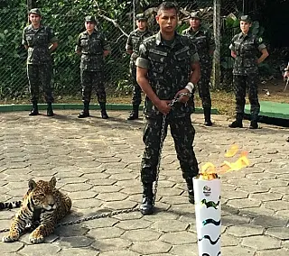 Militares matam onça durante passagem da tocha por Manaus