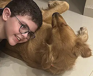 MP lança cartilha de proteção dos animais
