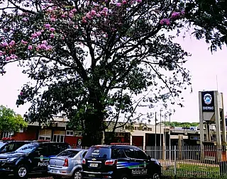 Pai resgata filhos deixados pela mãe sozinhos em casa