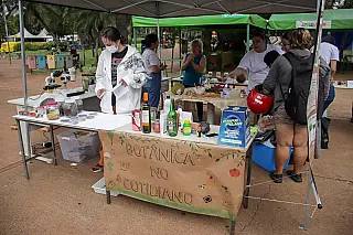 Exposição "Botânica na Praça" apresenta plantas alimentícias