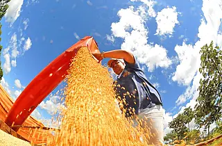 MS desponta no agronegócio nacional com alta na renda agropecuária e na busca por crédito rural