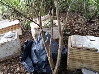 Homem é preso com 340 kg de pescado no Pantanal de MS