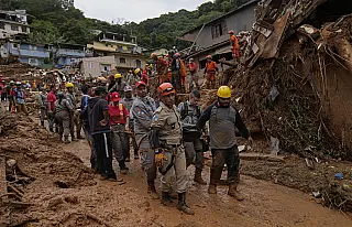 Cadelas de MS vão ajudar no resgate em Petrópolis