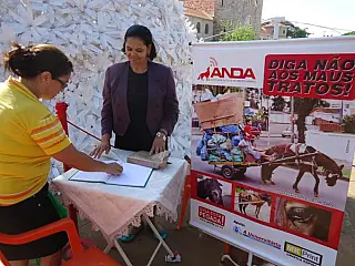Conselho é pioneiro para cuidado com animais, diz advogada