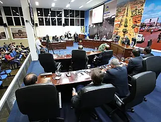 Vereadores dizem que Daniela 'atropela' funcionamento de comissões da Câmara