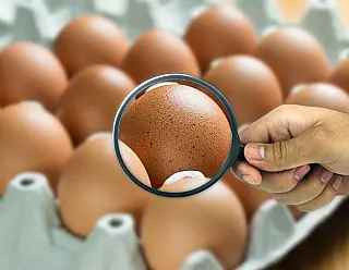 Ovos trincados devem ser descartados