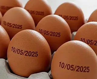 Ovos não vão precisar mais de data de validade