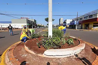 Prefeitura recupera floreiras nos canteiros centrais e valoriza espaço urbano da cidade