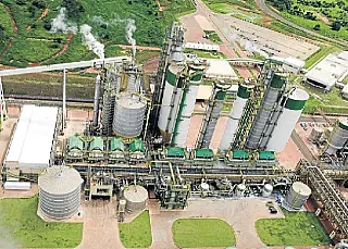 Governo revogará um dos Tares que beneficiam a Eldorado Celulose