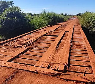 Lia Nogueira pede pontes de concreto