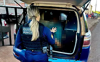 15 dias após deixar presídio homem é preso