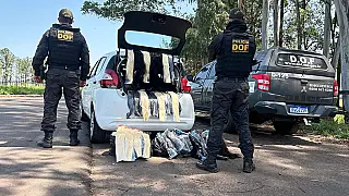 DOF apreende mais de 130 quilos de cabelo humano em Ponta Porã