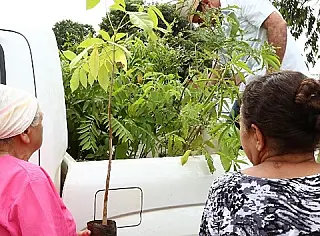 Imam começa programação da semana do meio ambiente em Dourados