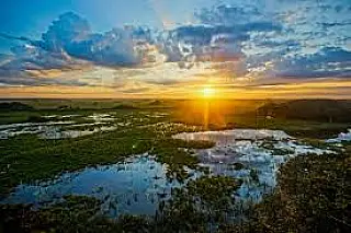 STF dá prazo para Congresso aprovar lei de proteção do Pantanal