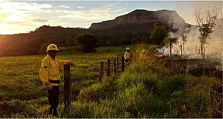 Queimadas em Corumbá tem aumento de 129% em comparação com 2016
