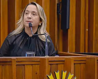 Lia aciona MP para conter violência na Saúde
