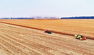 MS foi o terceiro estado do Brasil que mais gerou vagas no agronegócio