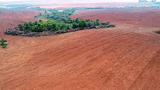 Operação contra desmatamento na Mata Atlântica é deflagrada e mira 46 alvos