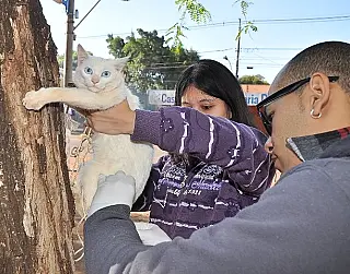Vacinação em cães e gatos chega na Vila Cachoeirinha