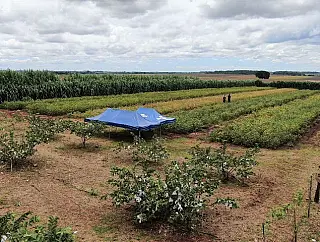 Expoagro terá debates sobre sistema orgânico e crédito rural