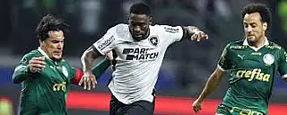Botafogo segura empate e elimina o Palmeiras na Copa Libertadores