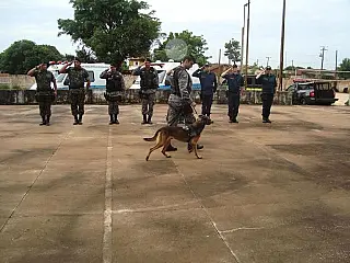 Cão Baruk que já foi Bope será sacrificado
