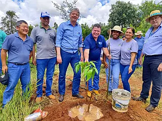 Agricultura familiar é inserida no mercado de crédito de carbono