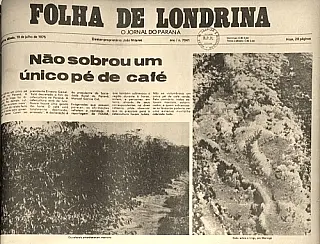Geada negra de 1975 completa 42 anos nesta terça-feira; e temperatura cai