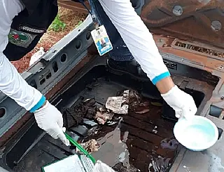 Saúde alerta que, enquanto o foco é a pandemia da Covid, pessoas morrem com dengue