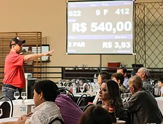 Em ação beneficente, Leilodom acontece pelo 14º ano consecutivo durante a Expoagro