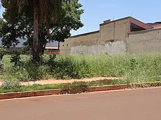 Prefeitura dá 15 dias para proprietários limparem terrenos