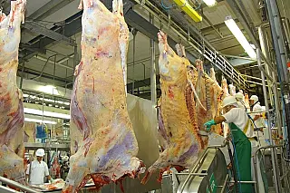 Veto dos EUA à carne brasileira é excesso de zelo, diz secretário