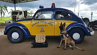Adolescente é preso com drogas e documento de pessoa morta no Paraná