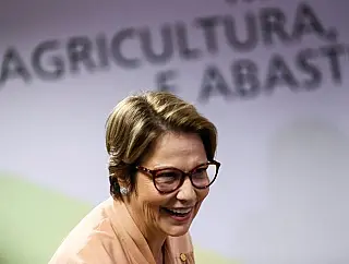 Tereza Cristina discute com representantes de 24 países como garantir alimentos na crise