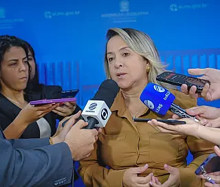 Assembleia reconhece calamidade pública em epidemia