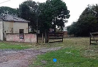 Após denúncia, limpeza chega a terreno tomado pelo matagal no Centro