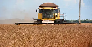 Mato Grosso do Sul se destaca e garante melhor resultado do PIB no País