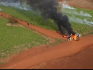 Índios invadem fazenda e destroem plantação