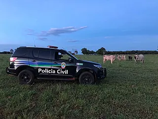 Polícia reprime furto de gado