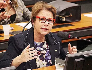Projeto de Tereza prevê aproveitamento de pastagens em reserva