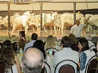 Expoagro resgata força dos leilões como vitrine do agronegócio