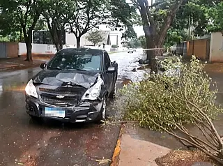 Guarda Municipal já prendeu 109 condutores dirigindo sob efeito de embriaguez neste ano