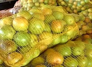 Indústria da laranja mira o clima e o solo de Mato Grosso do Sul