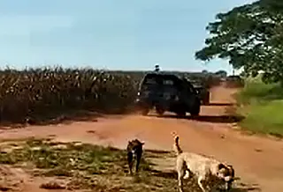 Choque entra em confronto com índios