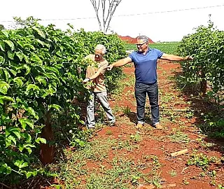 Agricultura Familiar comemora resultados de projeto com maracujás