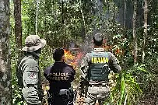 Servidores federais ambientais iniciam greve