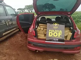 DOF apreende casal que tentava levar 265 quilos de maconha para Itajaí