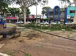 Prefeitura mobiliza equipes para consertar estragos do vendaval