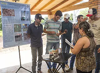 Acadêmicos coletam insetos para aprender a identificar pragas