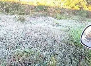 Temperatura chegou a 4,2ºC no final da madrugada em Dourados